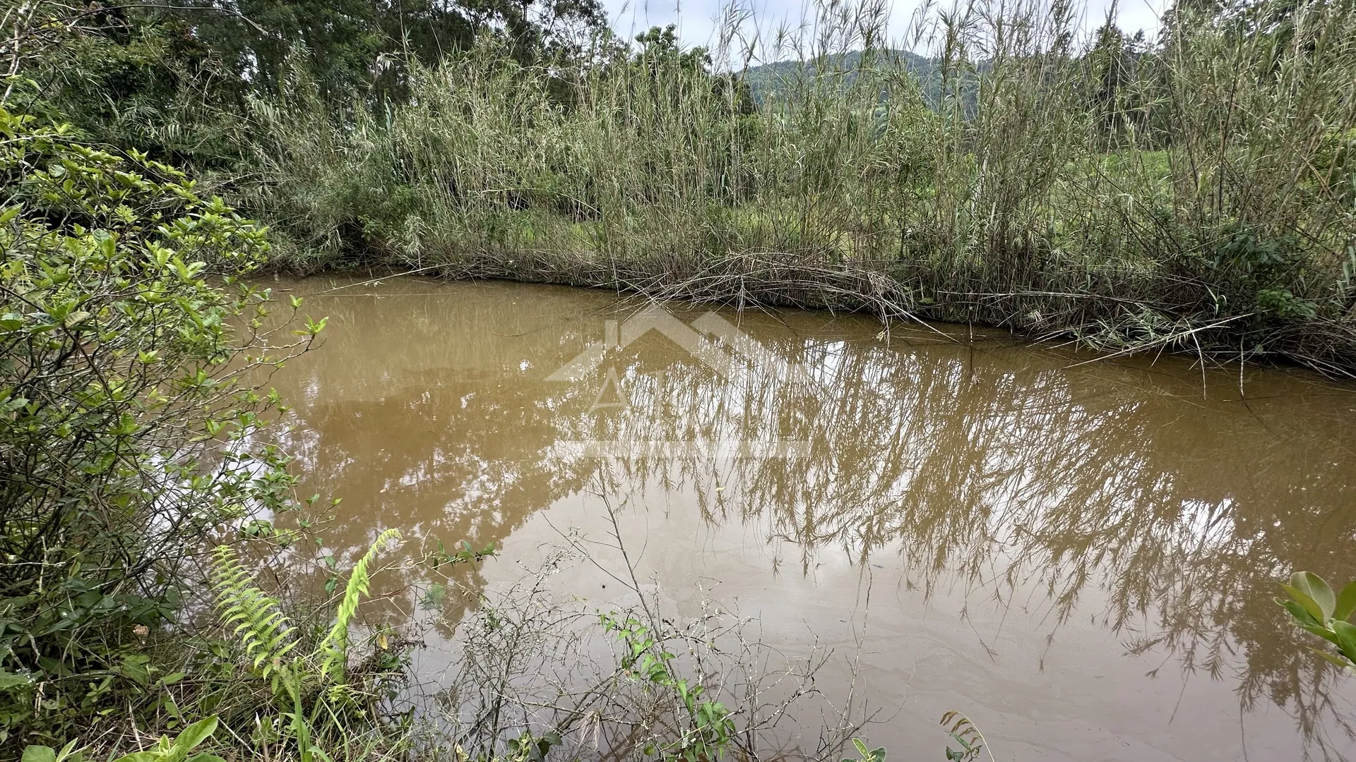 Comprar Área de Terra